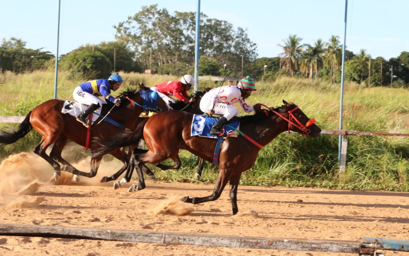 Jóquei Clube volta a realizar corridas de cavalos no Hipódromo da Lagoinha