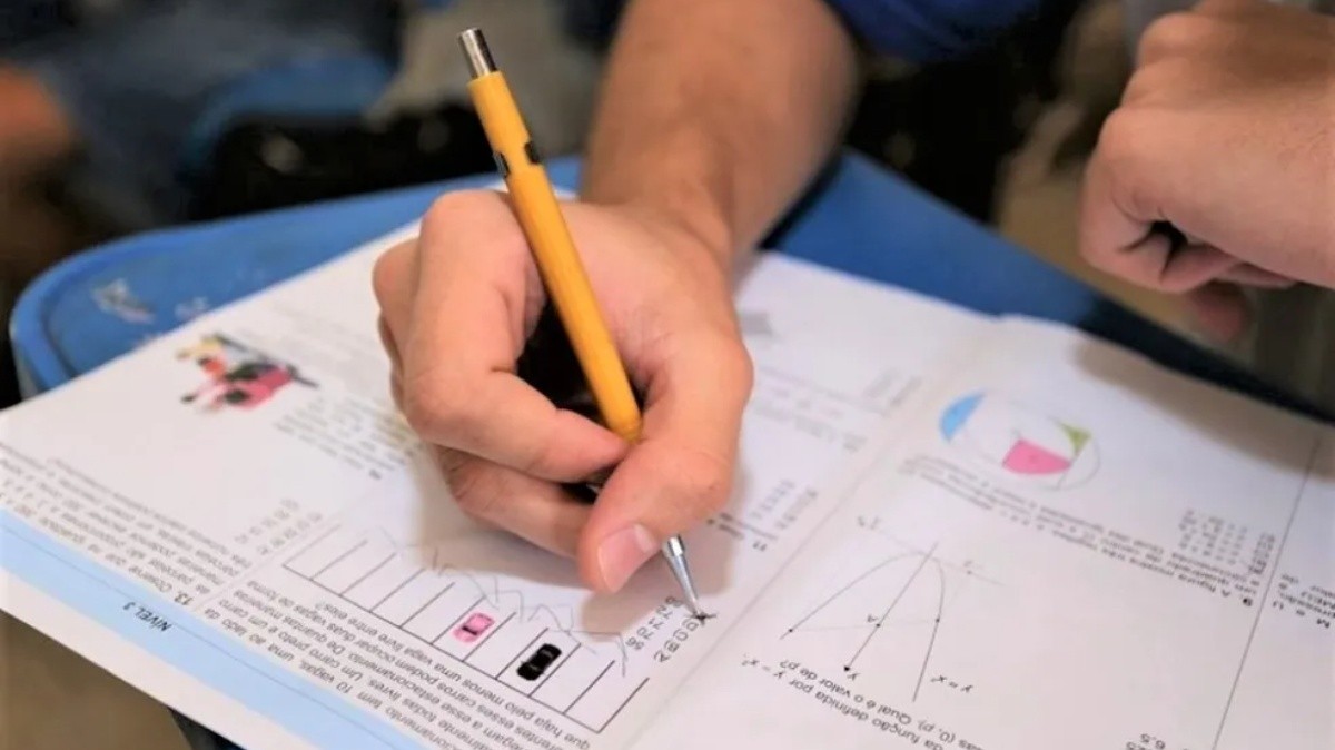 Bom desempenho em matemática pode render bolsas de até R$ 700 mensais para estudantes; conheça oportunidades