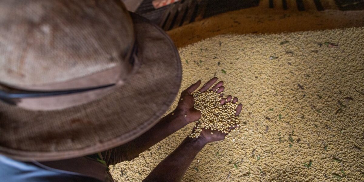 Goiás registra superávit de US$ 769 milhões na balança comercial em julho