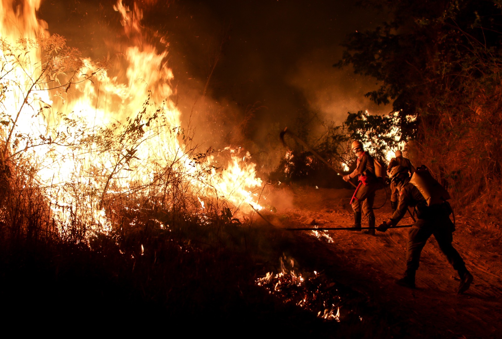 Governo de Goiás reforça prevenção e combate a incêndios em vegetação durante a estiagem