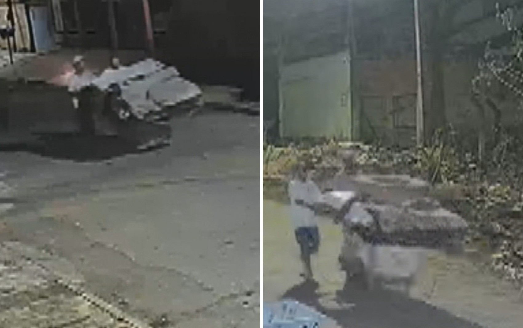 VÍDEO: Homens empurram carrinho com corpo até escondê-lo em mata de Aparecida de Goiânia, diz polícia