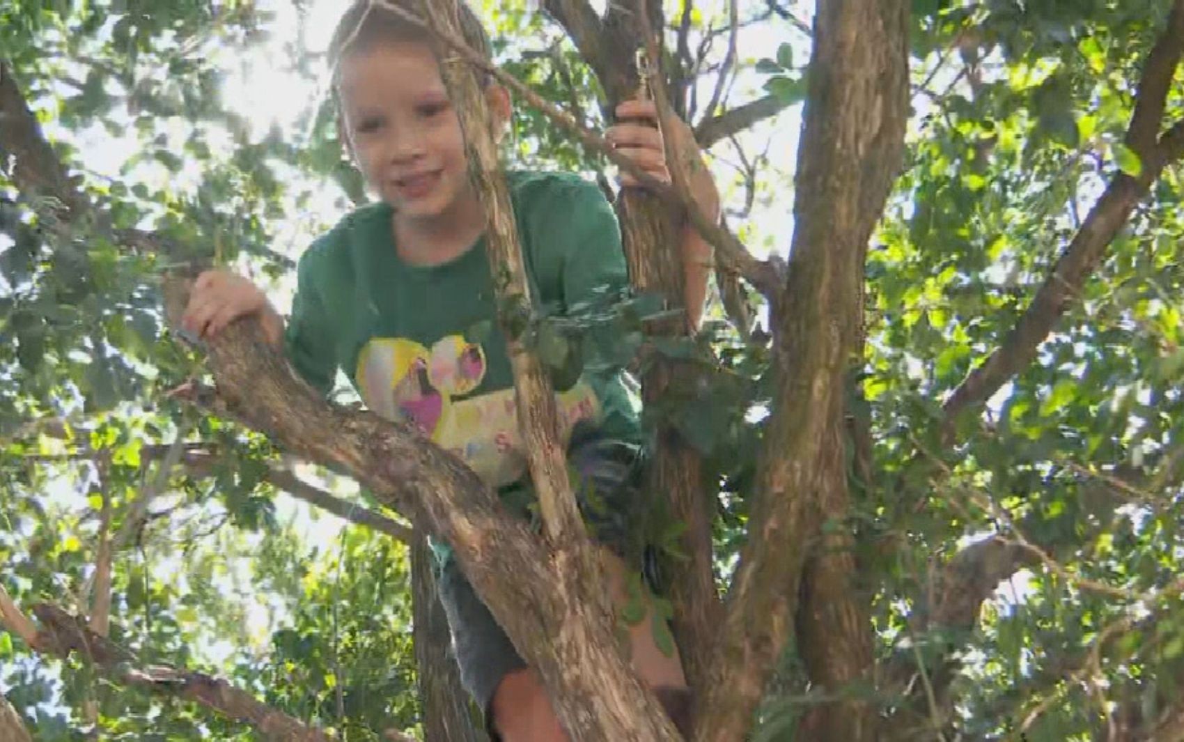 Menino some, mobiliza buscas e é encontrado dormindo em cima de árvore em Goiás: ‘Sentei e dormi'