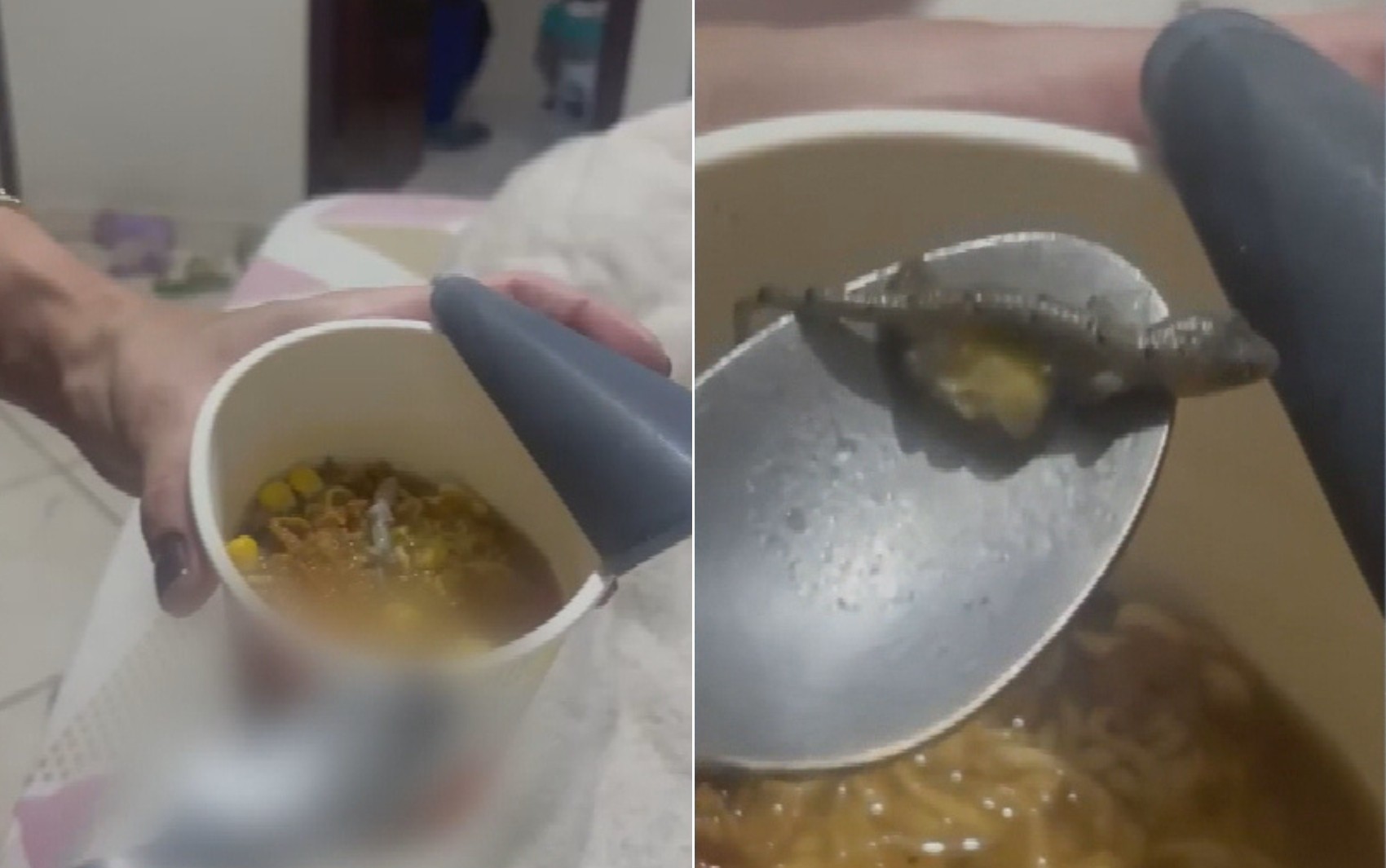 Mulher deve ser indenizada por encontrar lagartixa em macarrão instantâneo, decide Justiça de Goiás